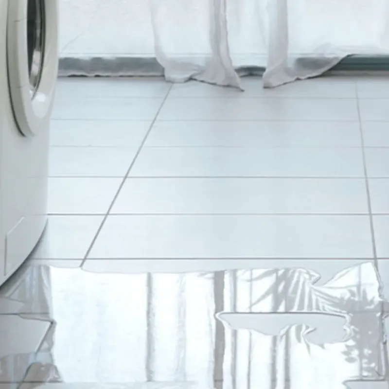 Appliance Leak Cleanup in Carteret County, NC