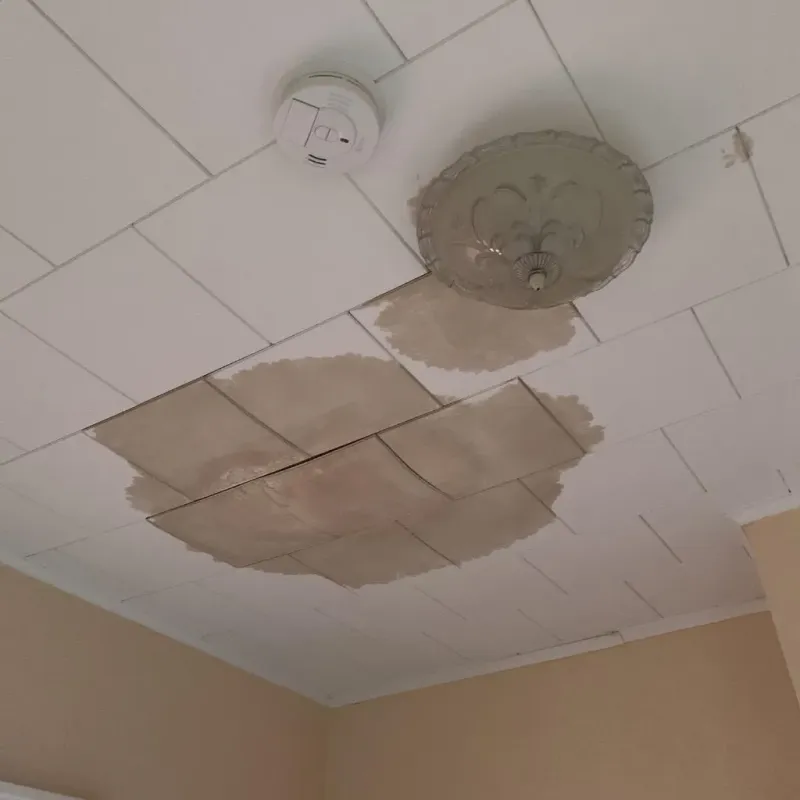 Ceiling Water Damage Repair in Carteret County, NC