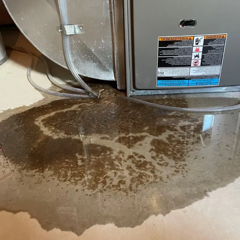 Pipe Burst and Leak Restoration in Carteret County, NC