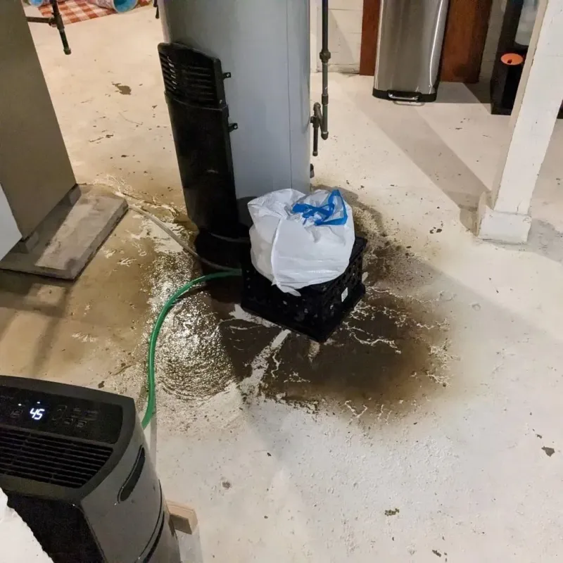 Sewage Backup Cleanup Service in Carteret County, NC